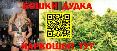 МДПВ Владимир