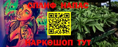 гидра Камышлов