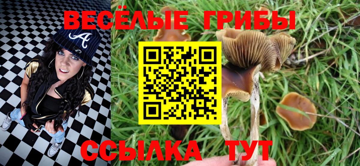Галлюциногенные грибы Magic Shrooms  Псилоцибиновые грибы Cubensis  Верхняя Салда  Вход с VPN 